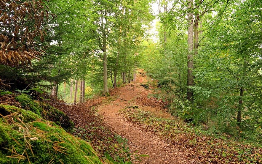 4 jours de randonnée sans bagages et bien-être dans les Vosges du Nord
